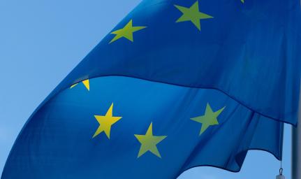 Raccomandazione Commissione Europea Bandiera Unione Europea